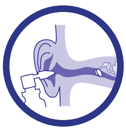 Earol In Ear Diagram