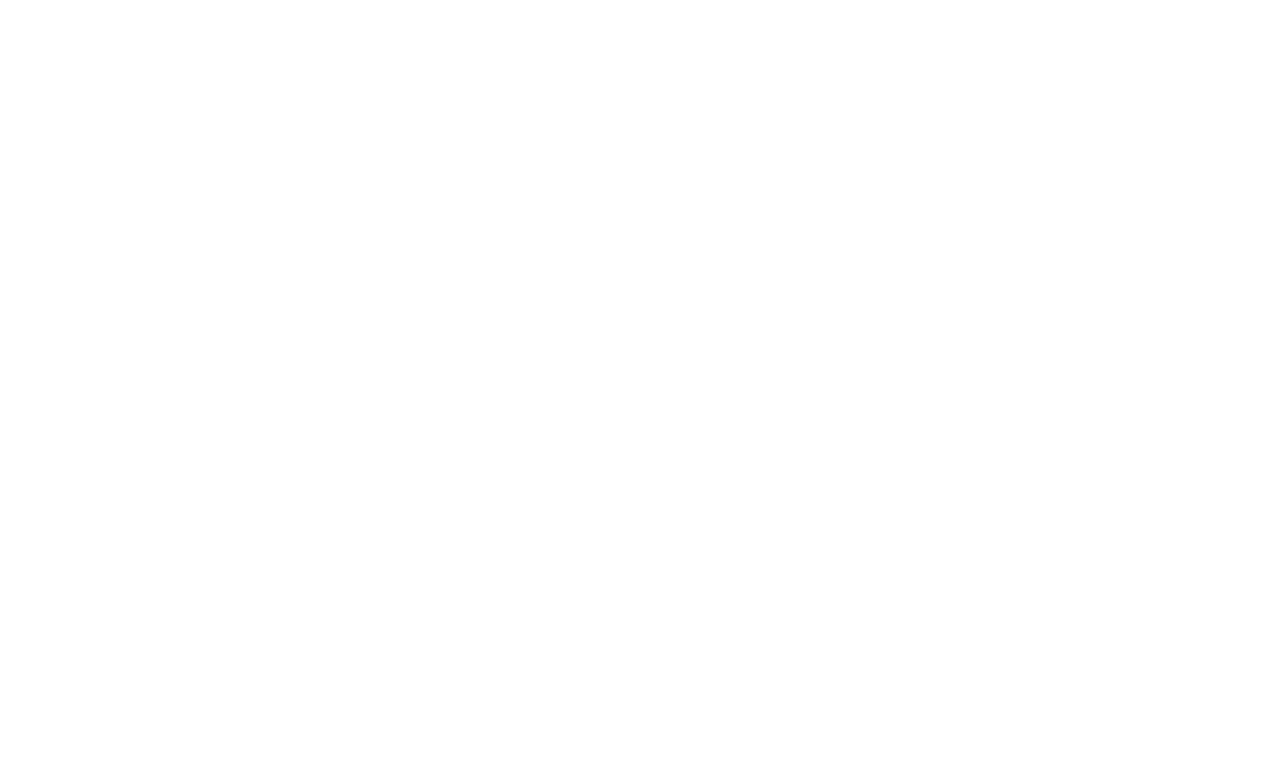 BSI Logo